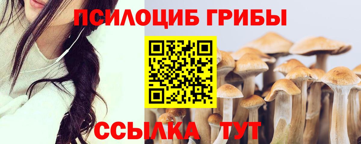 Карабулак  Галлюциногенные грибы GOLDEN TEACHER  Псилоцибиновые грибы GOLDEN TEACHER  Вход с VPN 